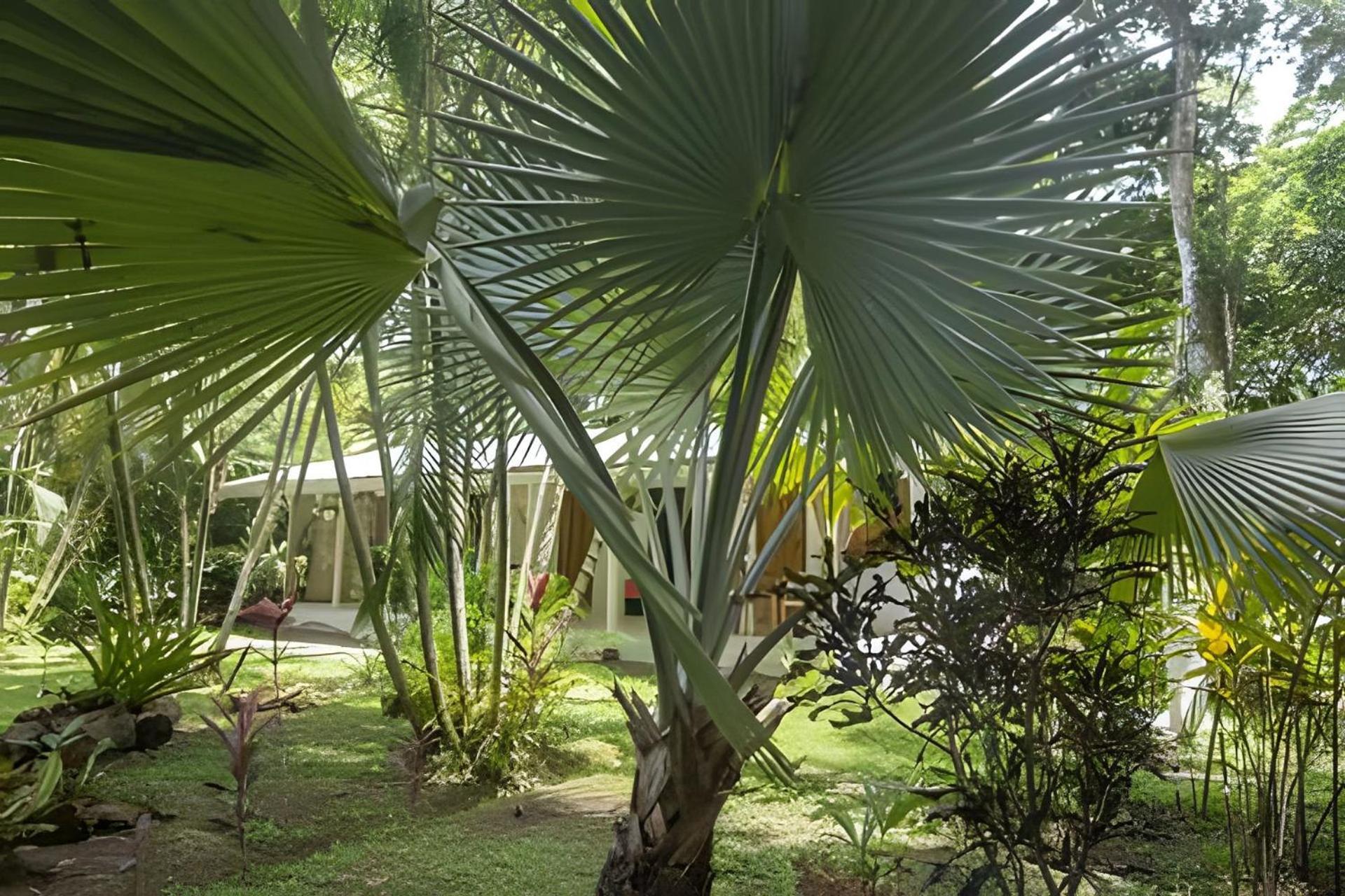Vishraam House ~ A Pocos Pasos De La Playa Villa Cocles Exterior photo